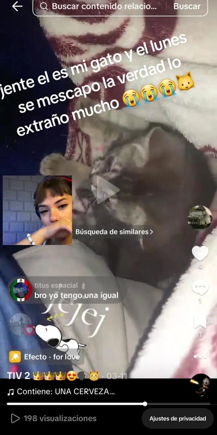 @TIV 2 👑👑👑😍🗣😼