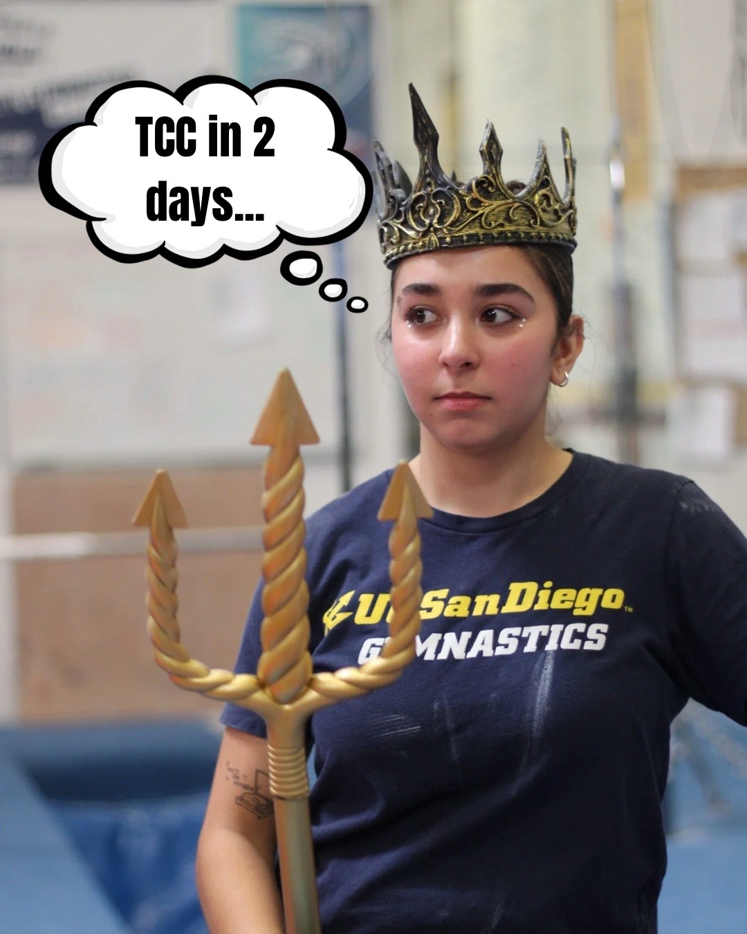 @UCSD Club Gymnastics