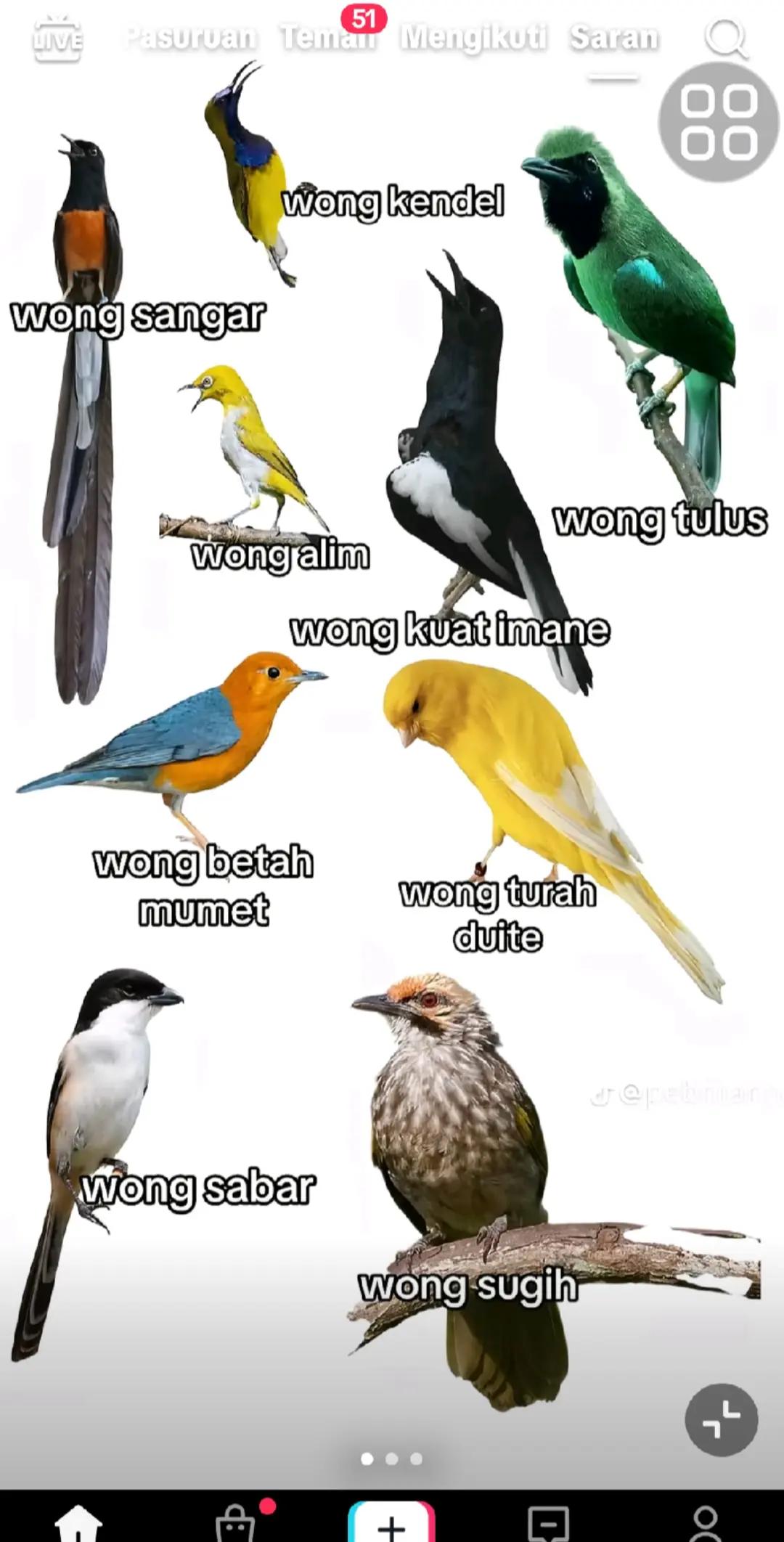 @𝕊𝕪𝕒𝕡𝕦𝕥𝕣𝕒🤙