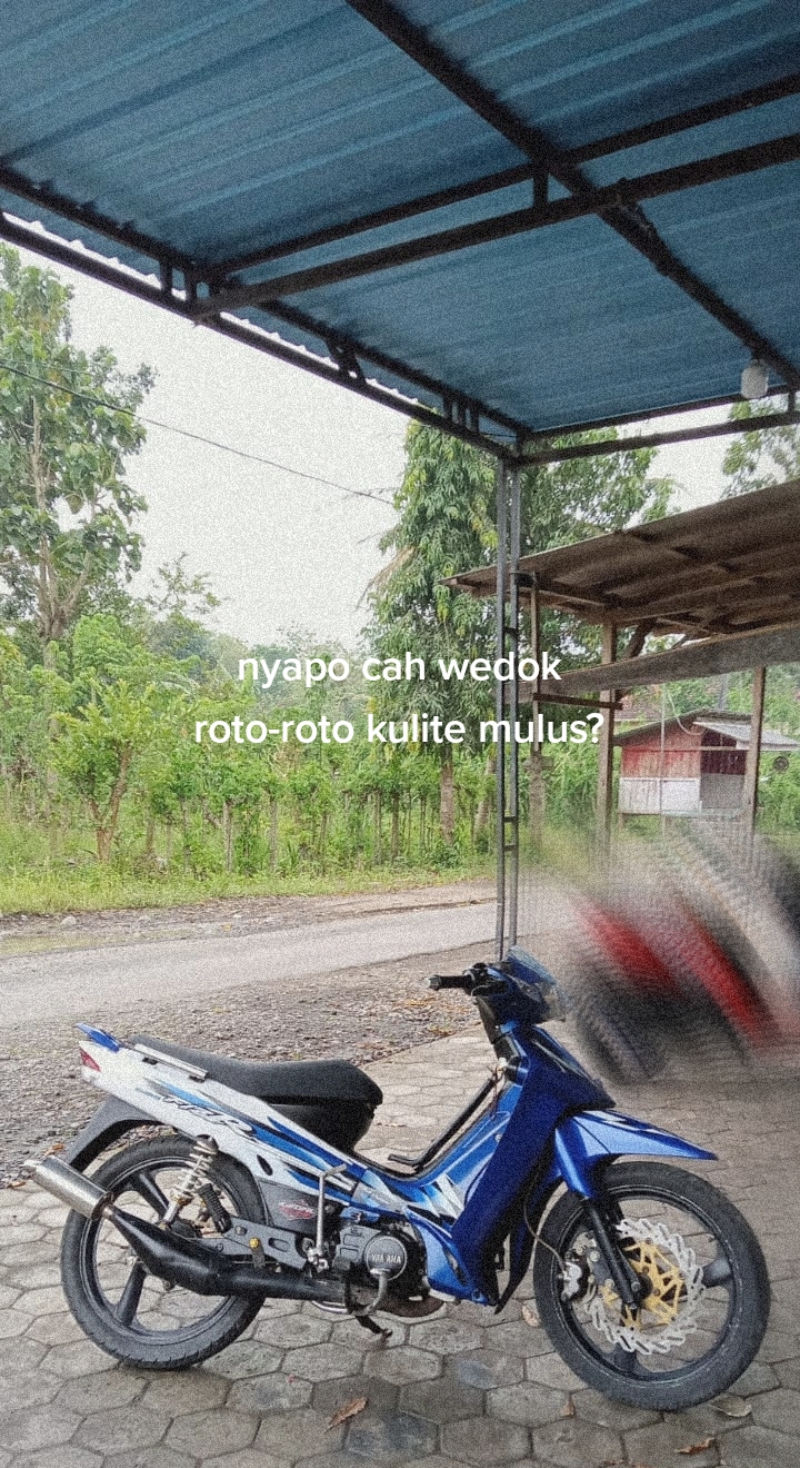 @๐ฝ๐ก๐ช๐๐๐๐๐ฏ๐ฏ