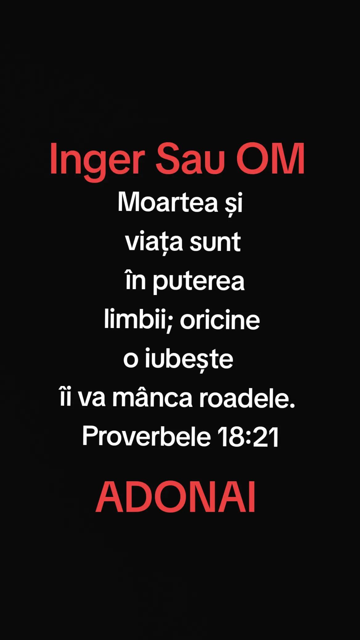 @DAN._.Inger.Sau.OM