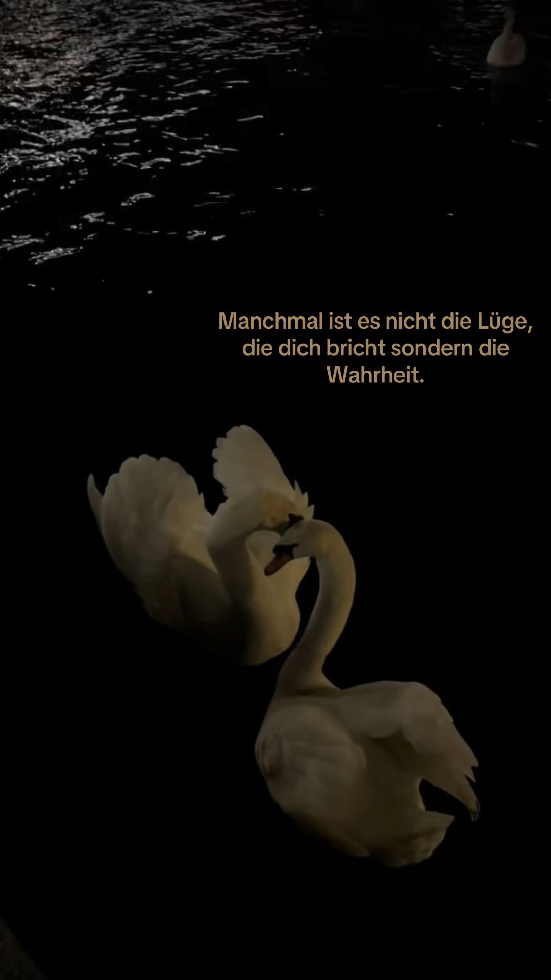 @𝓱