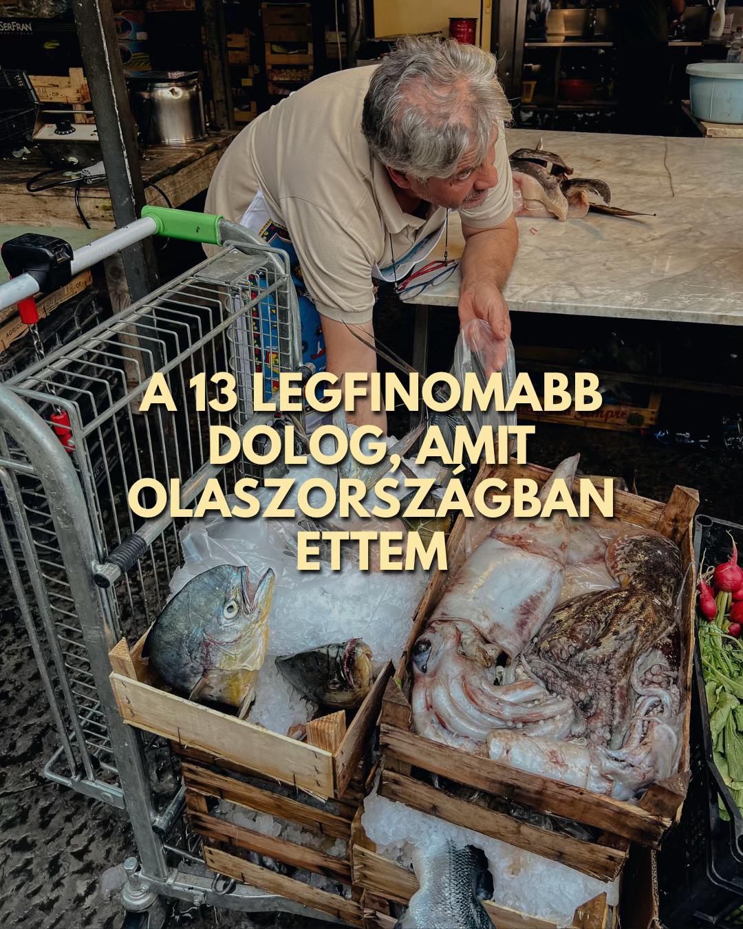 @&Eacute;vi B&oacute;ta | Andiamo!