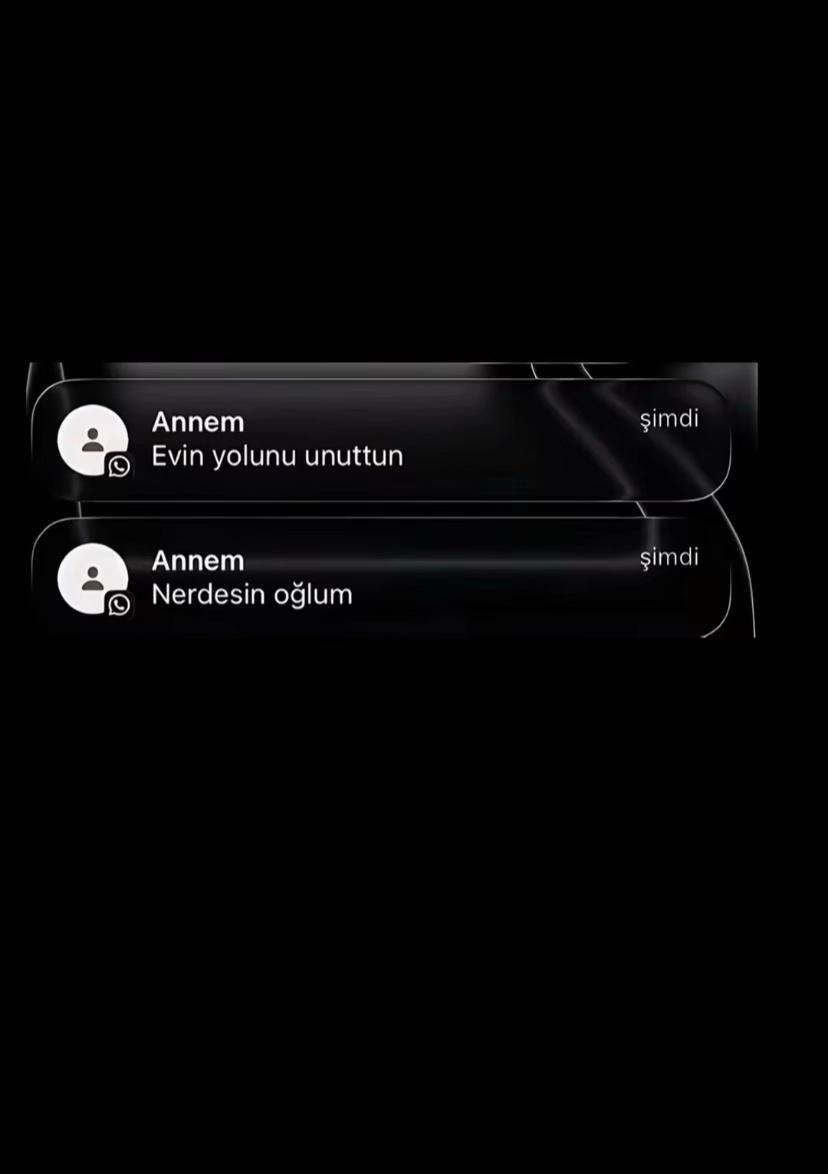 @Kütükk🐊