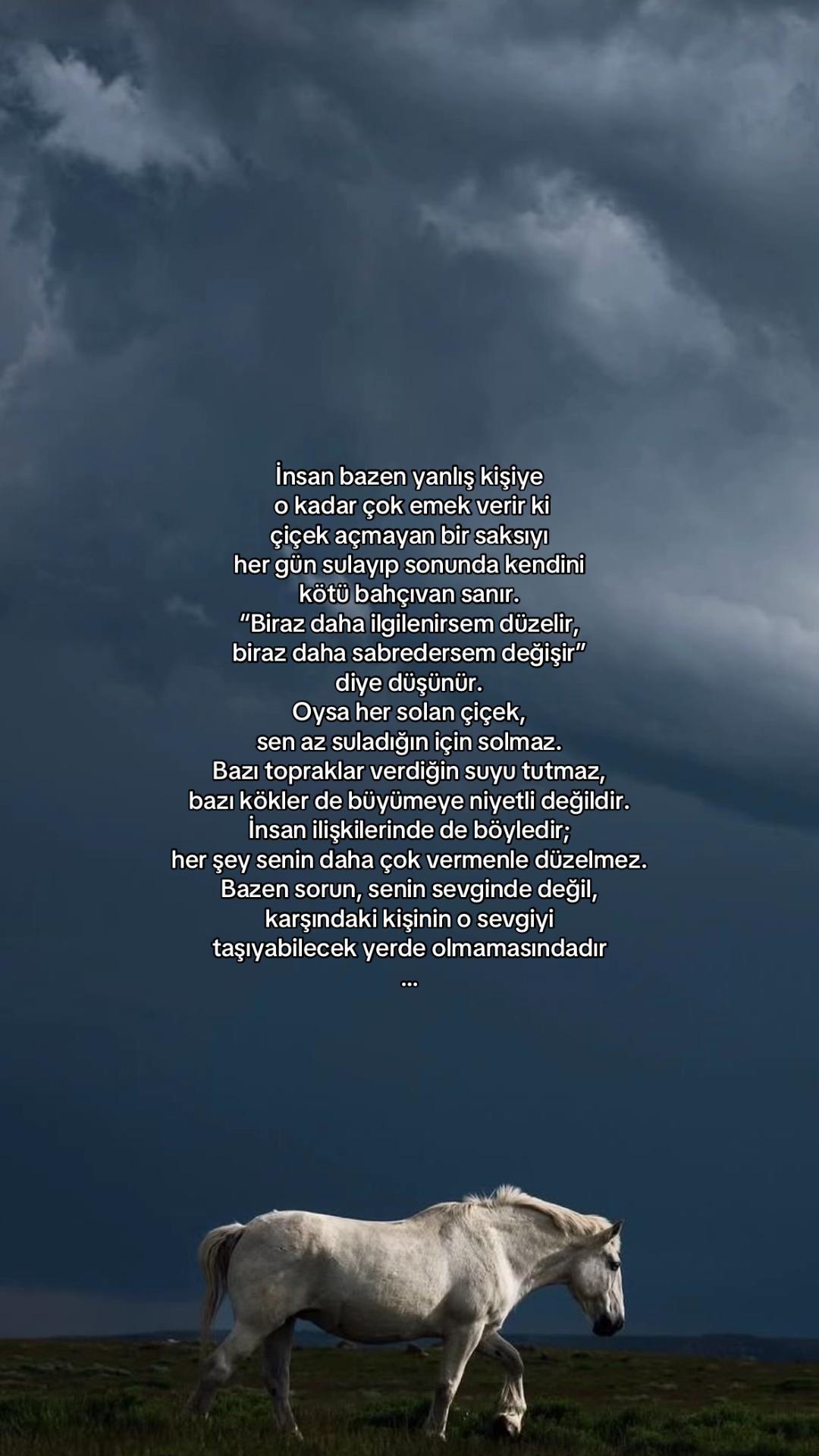 @𝓔𝓵𝓲𝓯