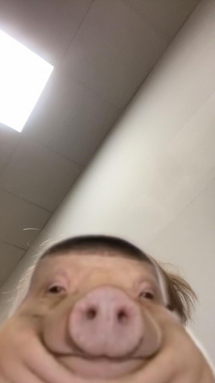 @ad3usgmd