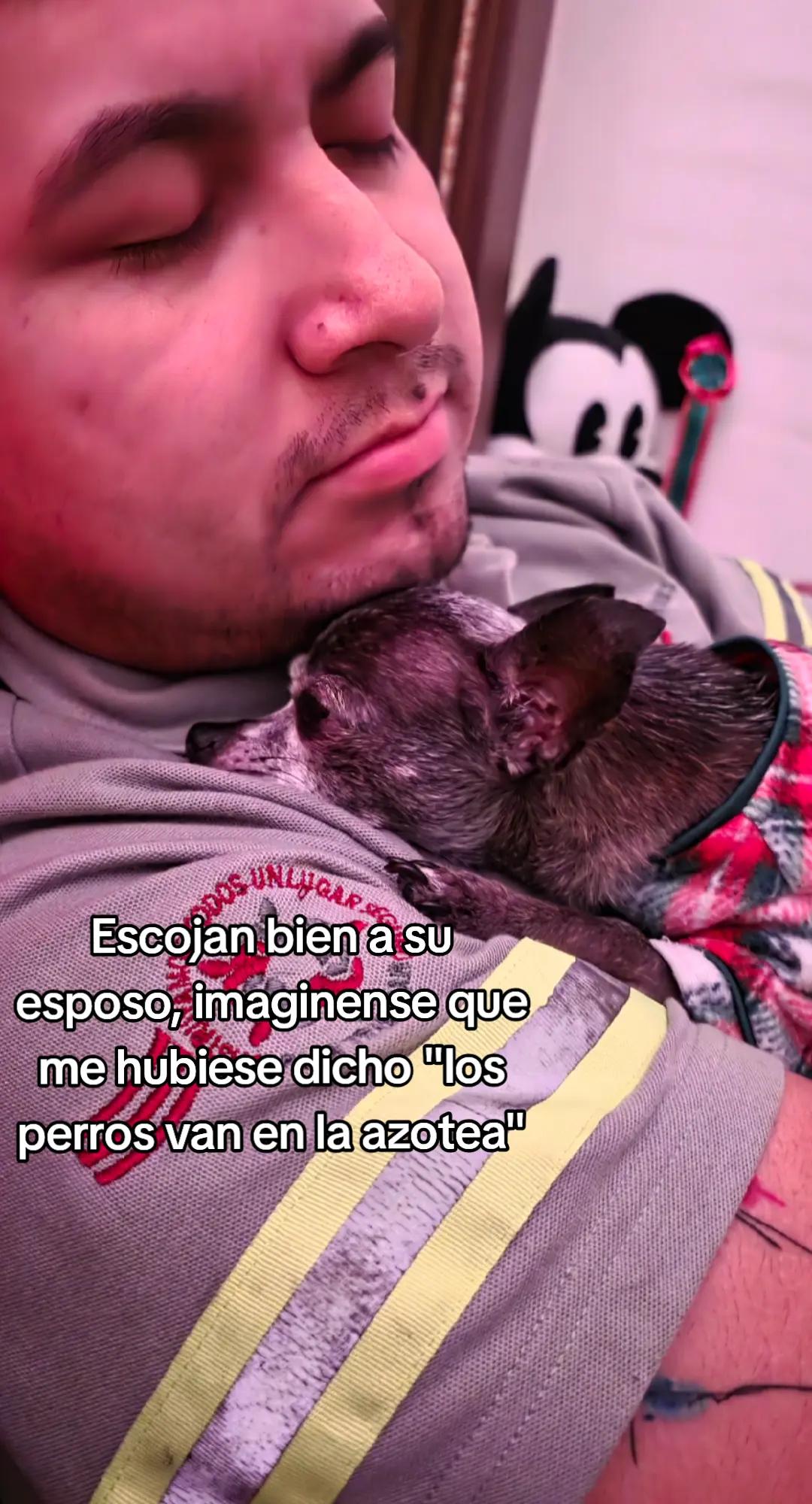 @ChiwaBull