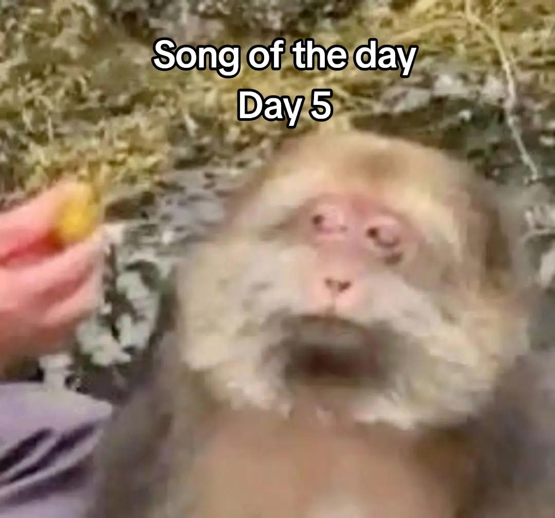 @Twit