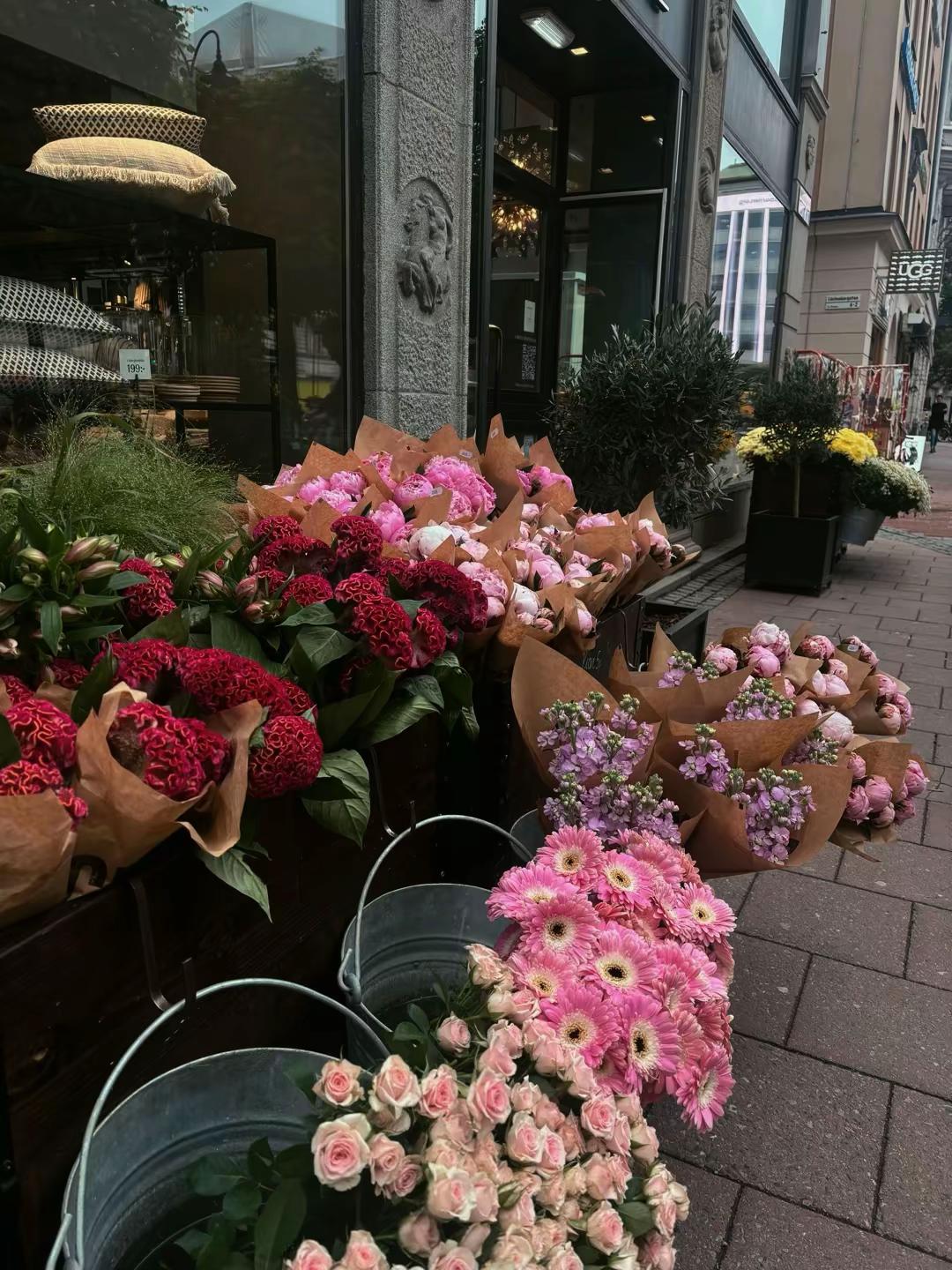 @𝐄𝐧𝐧𝐢꧂