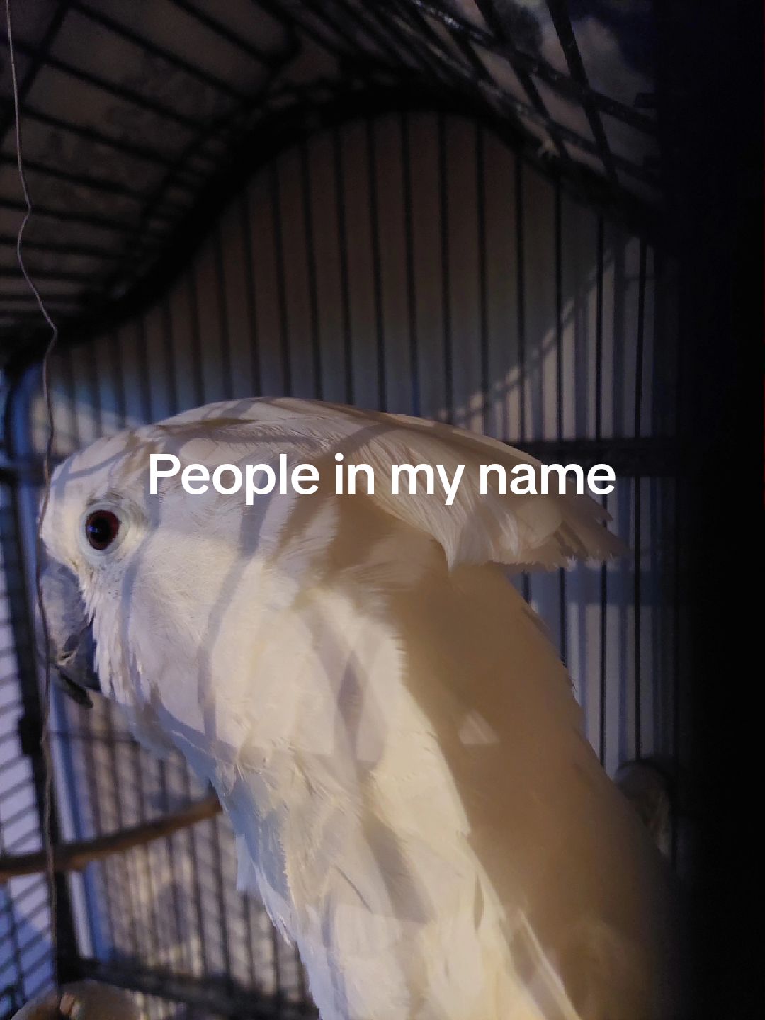 @vinc9mor3