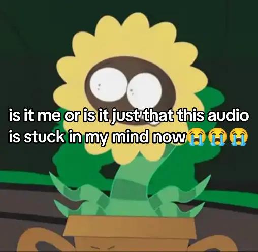 @itzlovie1017 🌈♾️/🌸🎮/💡🔪
