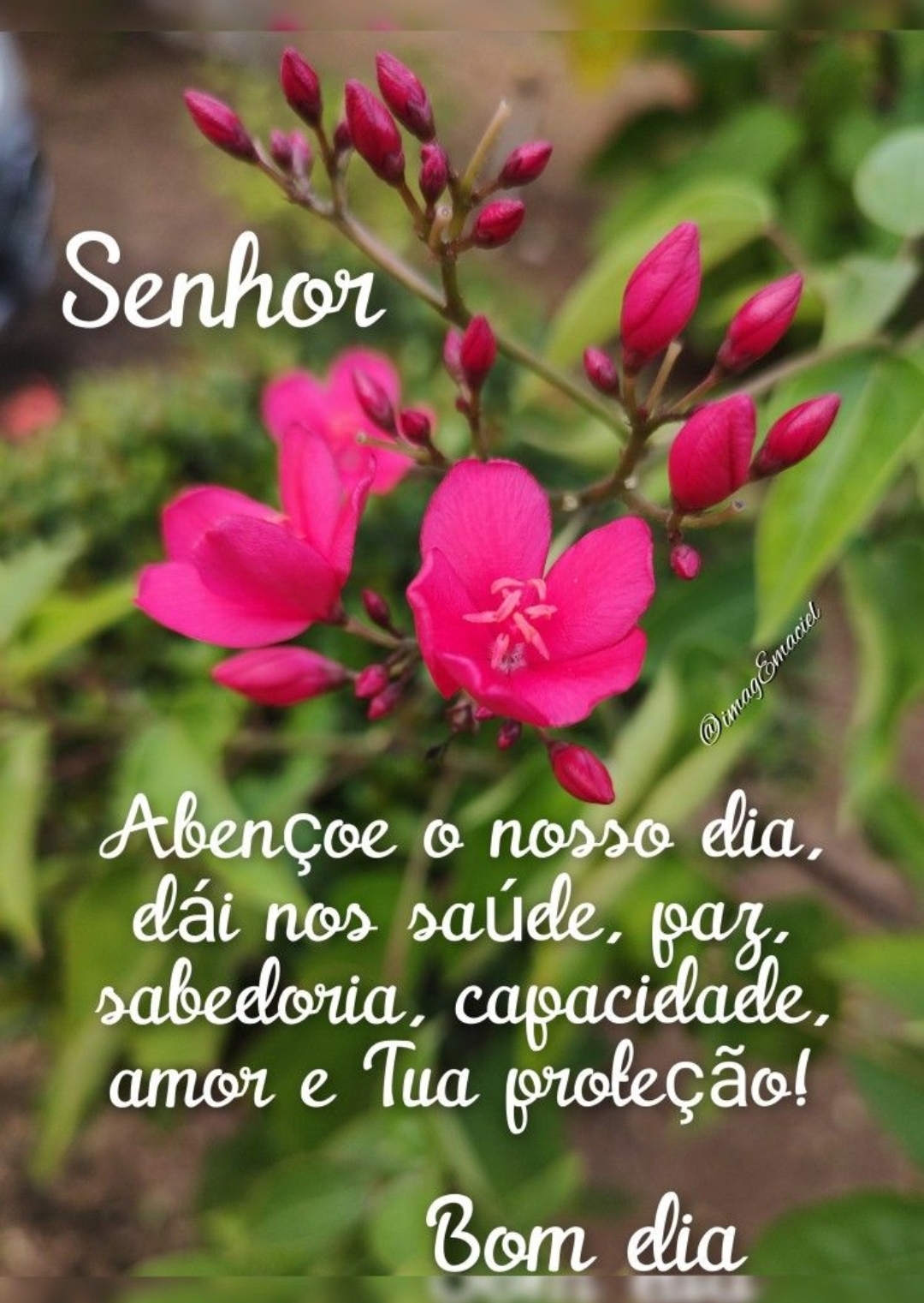 @Mara Nunes