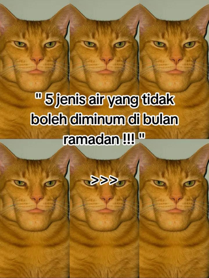 @HykalSazer01