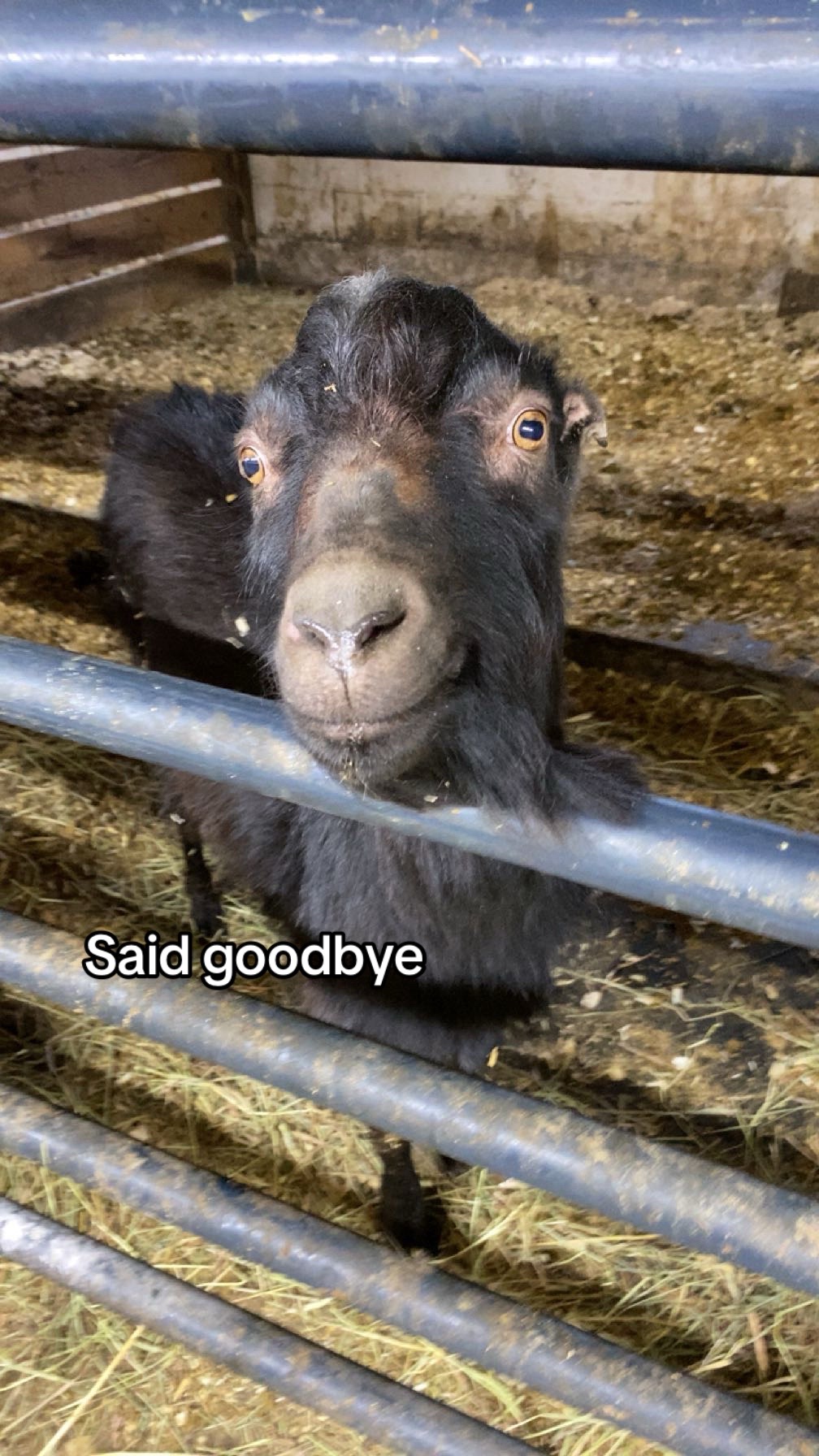 @em