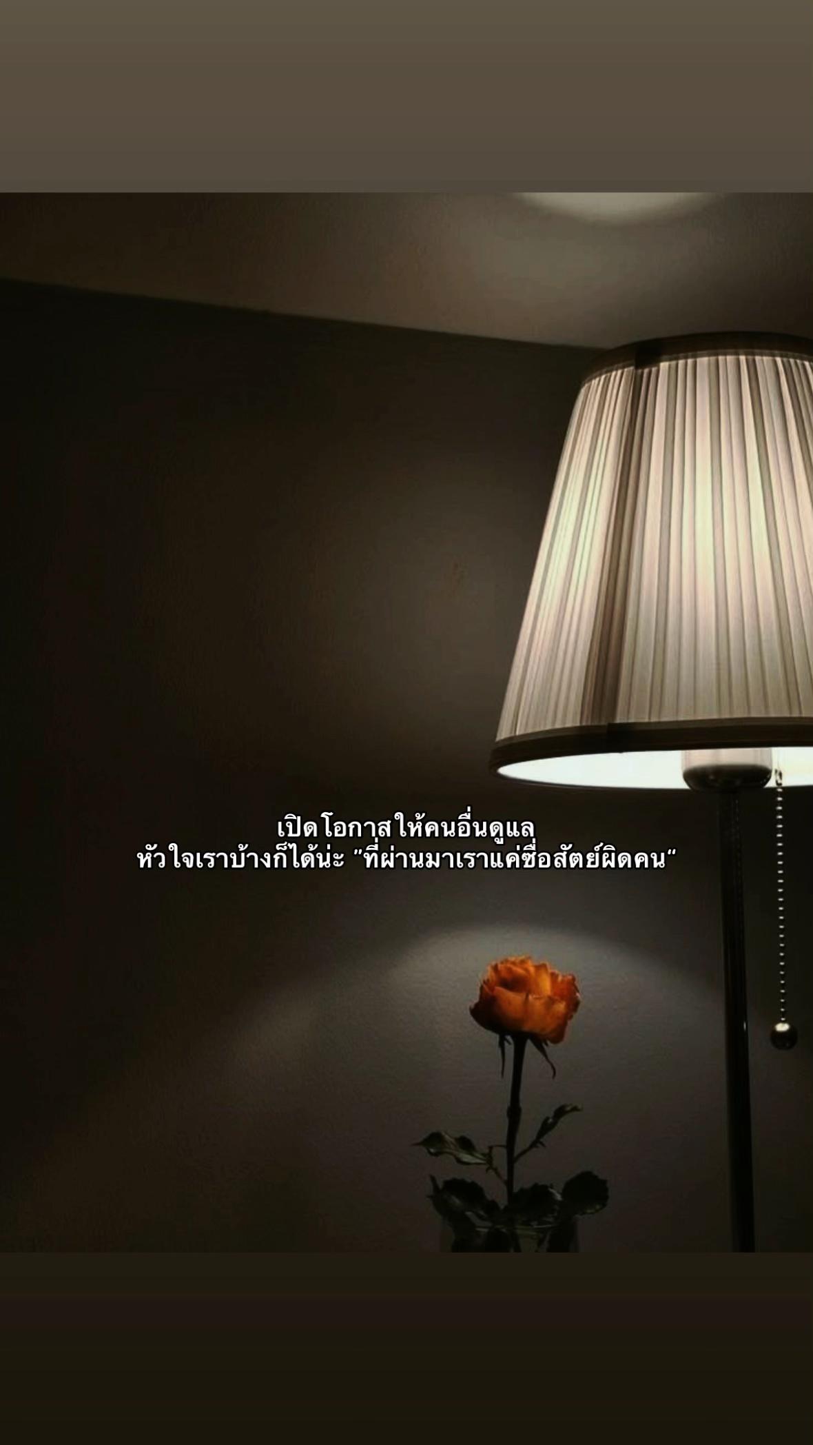 @เธรดสตอรี่(7.4M)