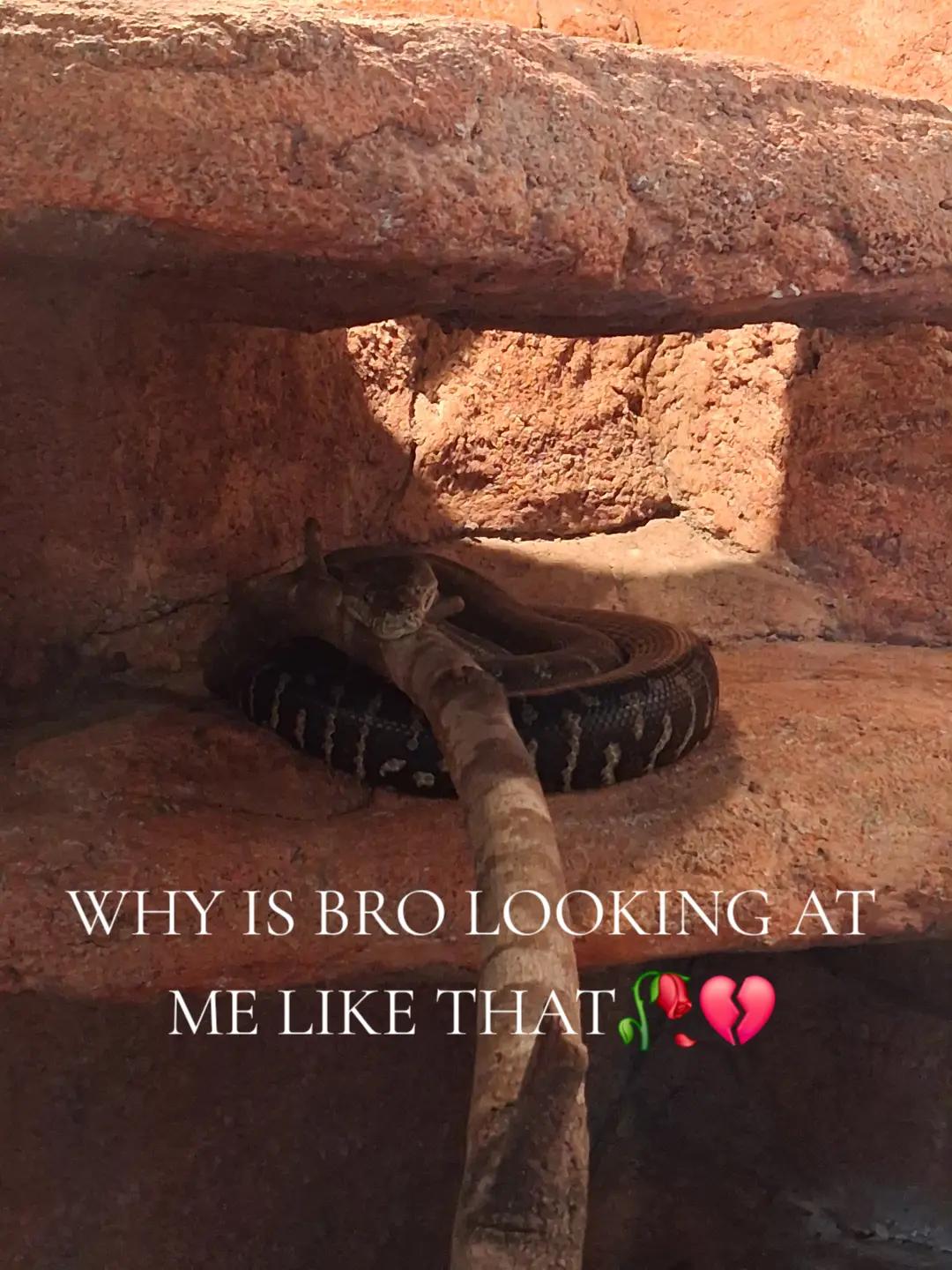 @FFN