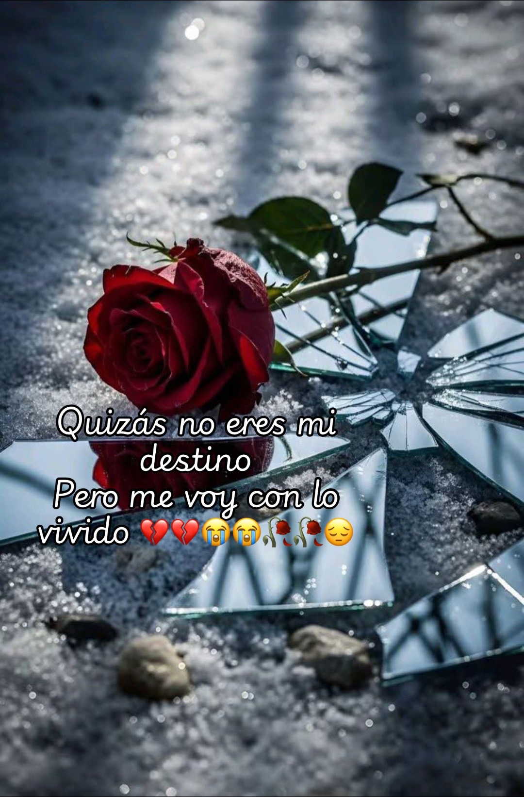 @💚🤍❤️{🌹}&yen;;