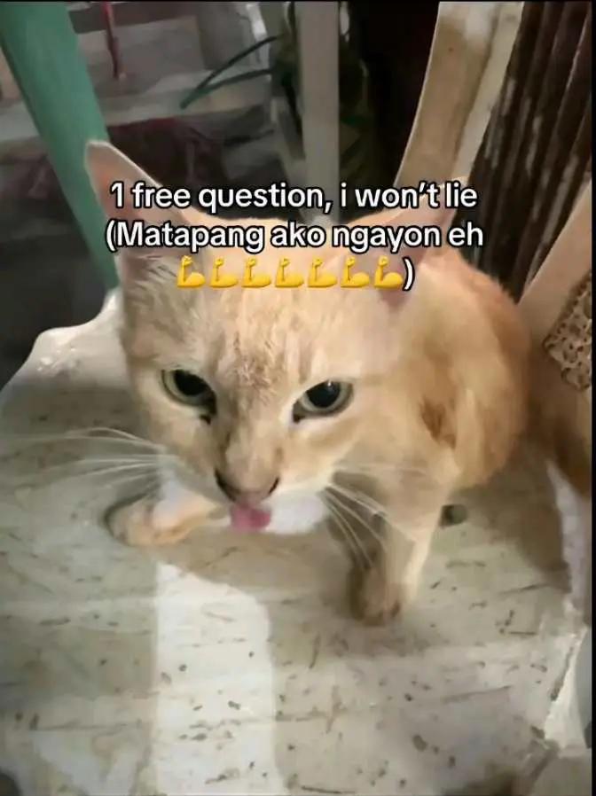 @๐๐ก๐๐ฒ๐ค๐ง