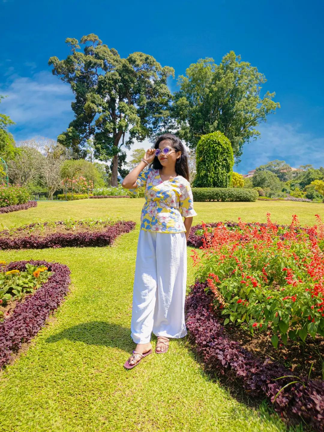 @K a u s h i 🌻🦋