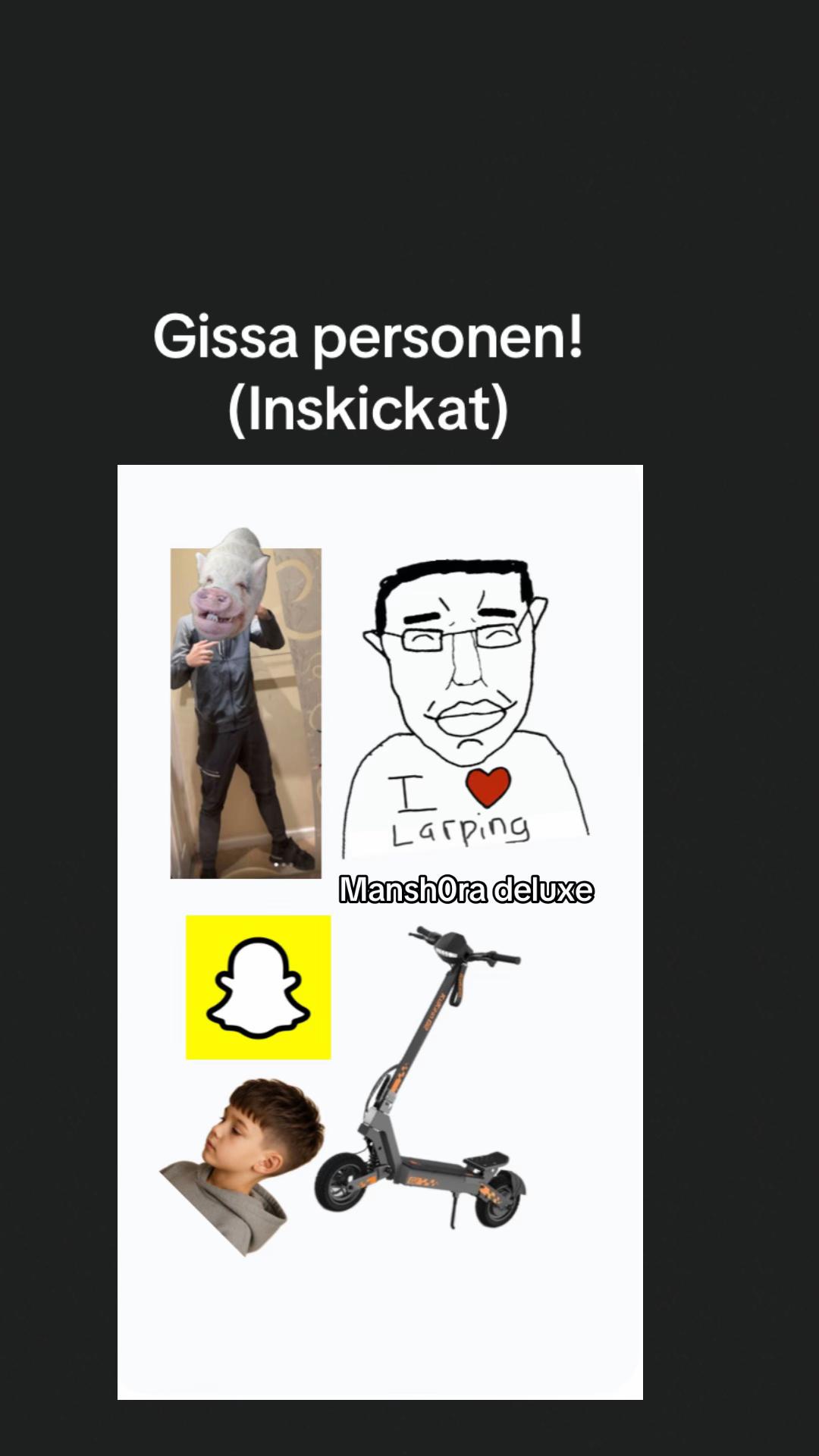 @varbergexp0se