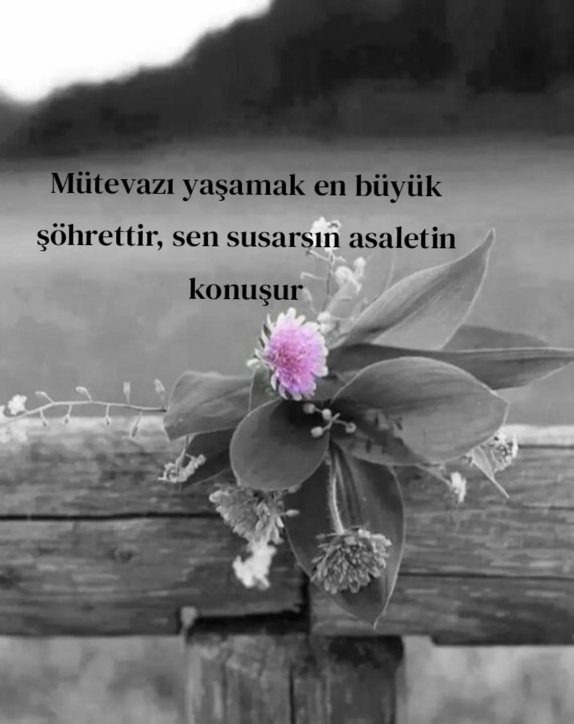 @Fatma Bolat