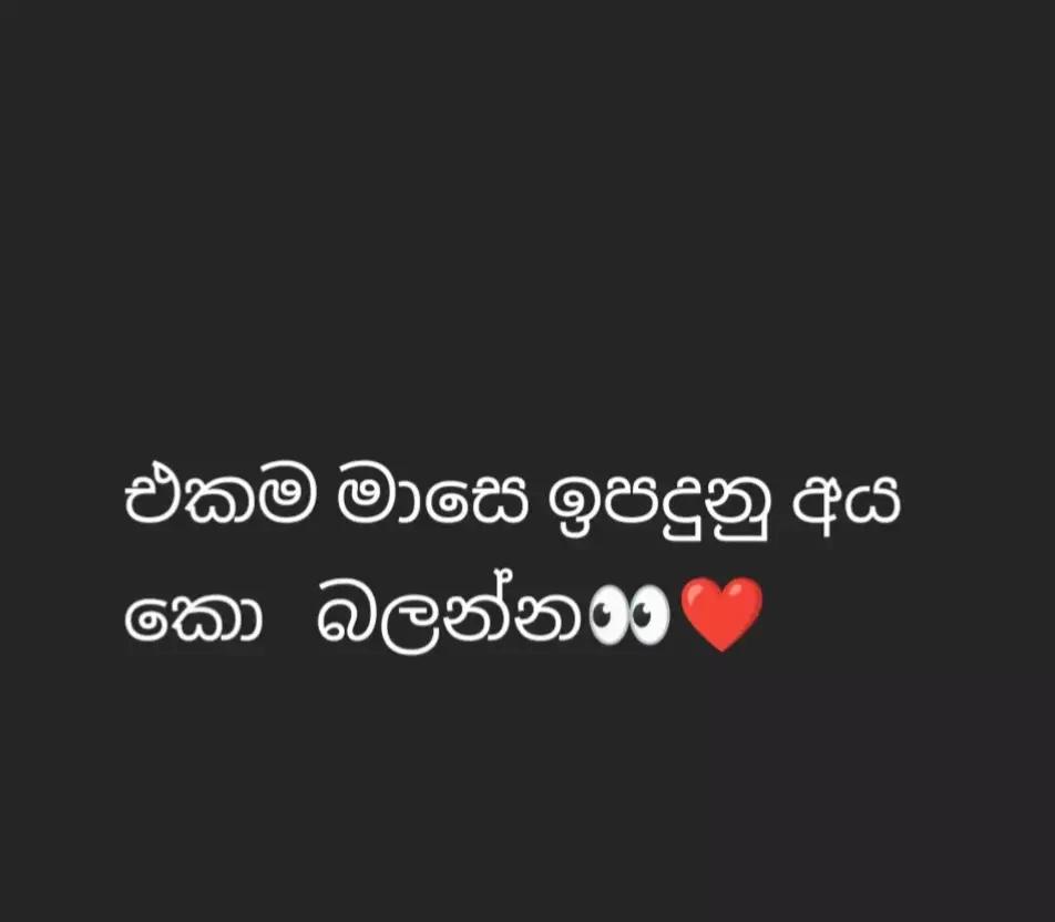@___© 𝗦𝗟•°°• 𝗽𝗼𝗱𝗶___