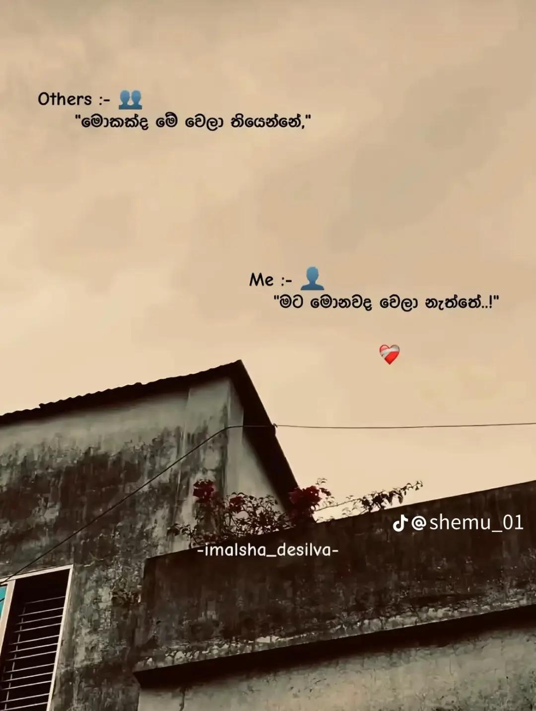 @Ashi 🦋😚