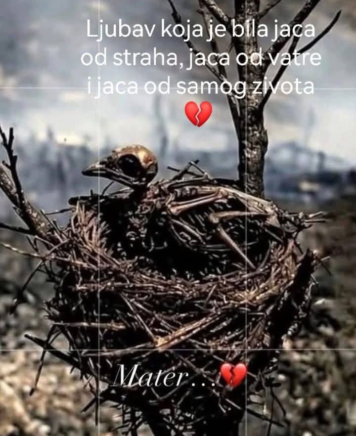 @Ljubavsrca