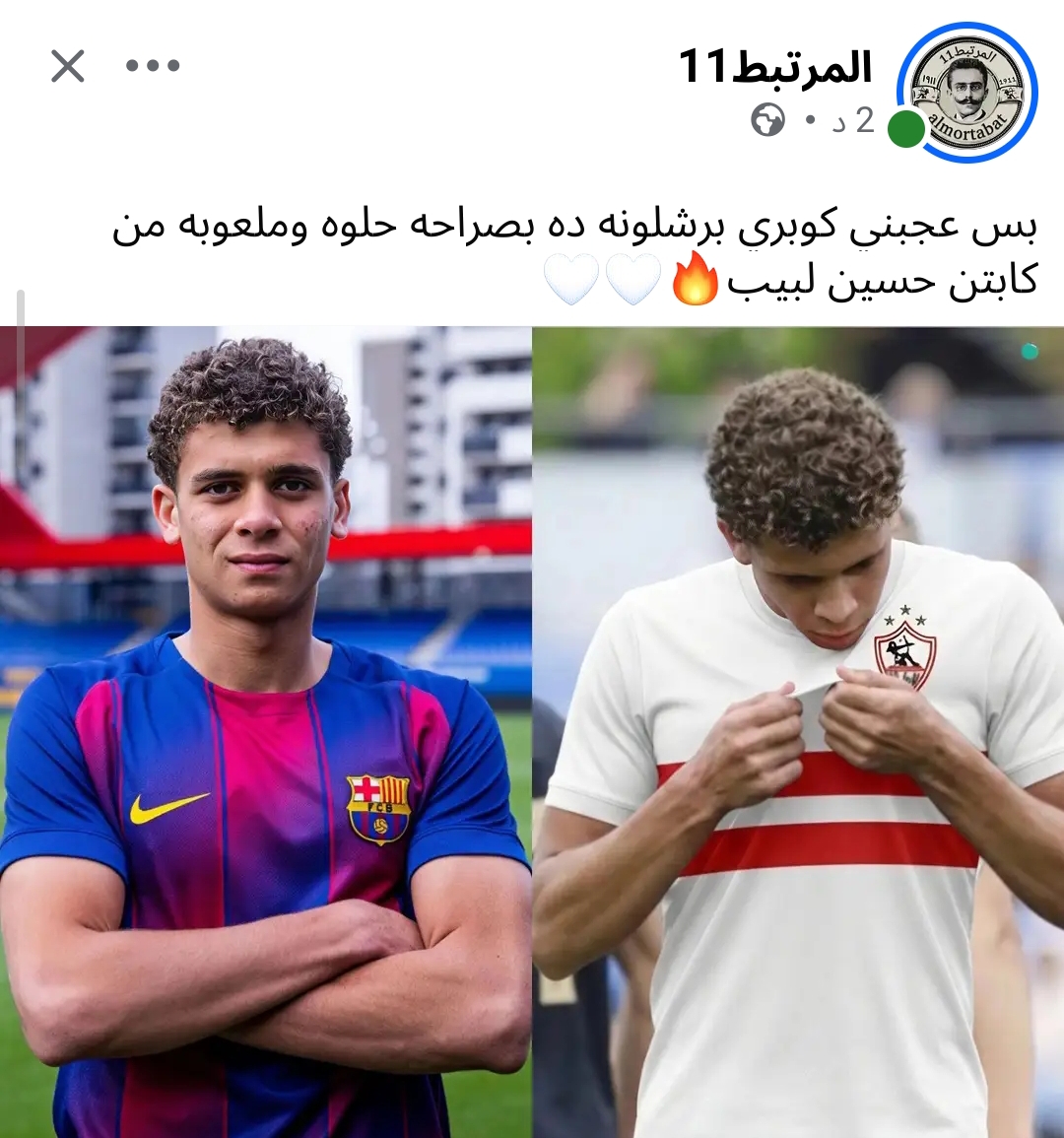 @الشناوي