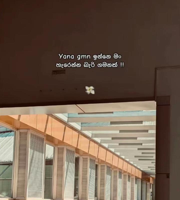 @nava
