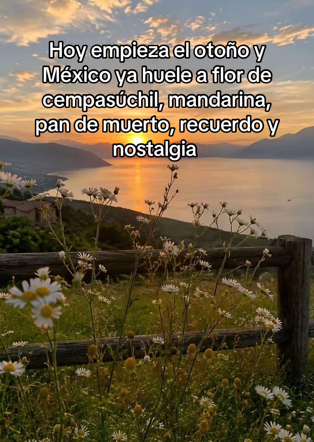@Beatriz A .