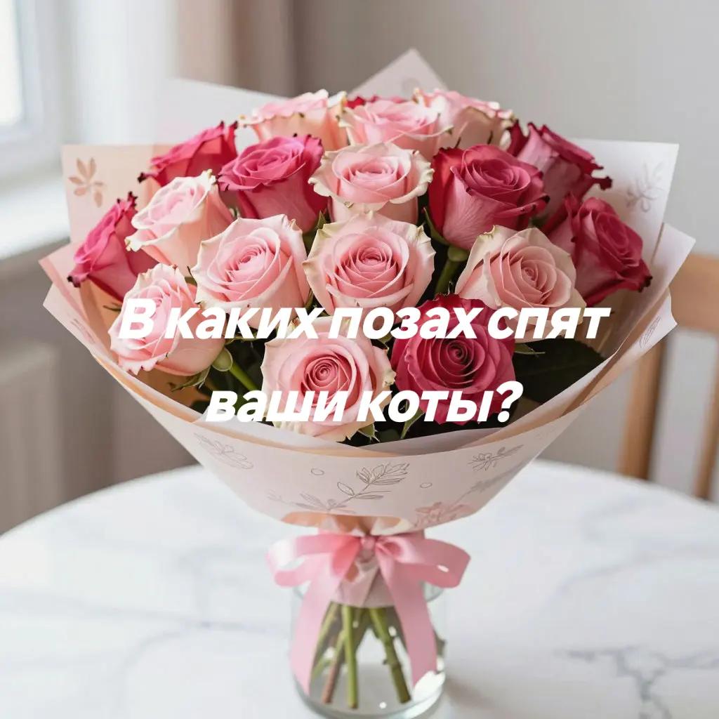@Минсу Ён