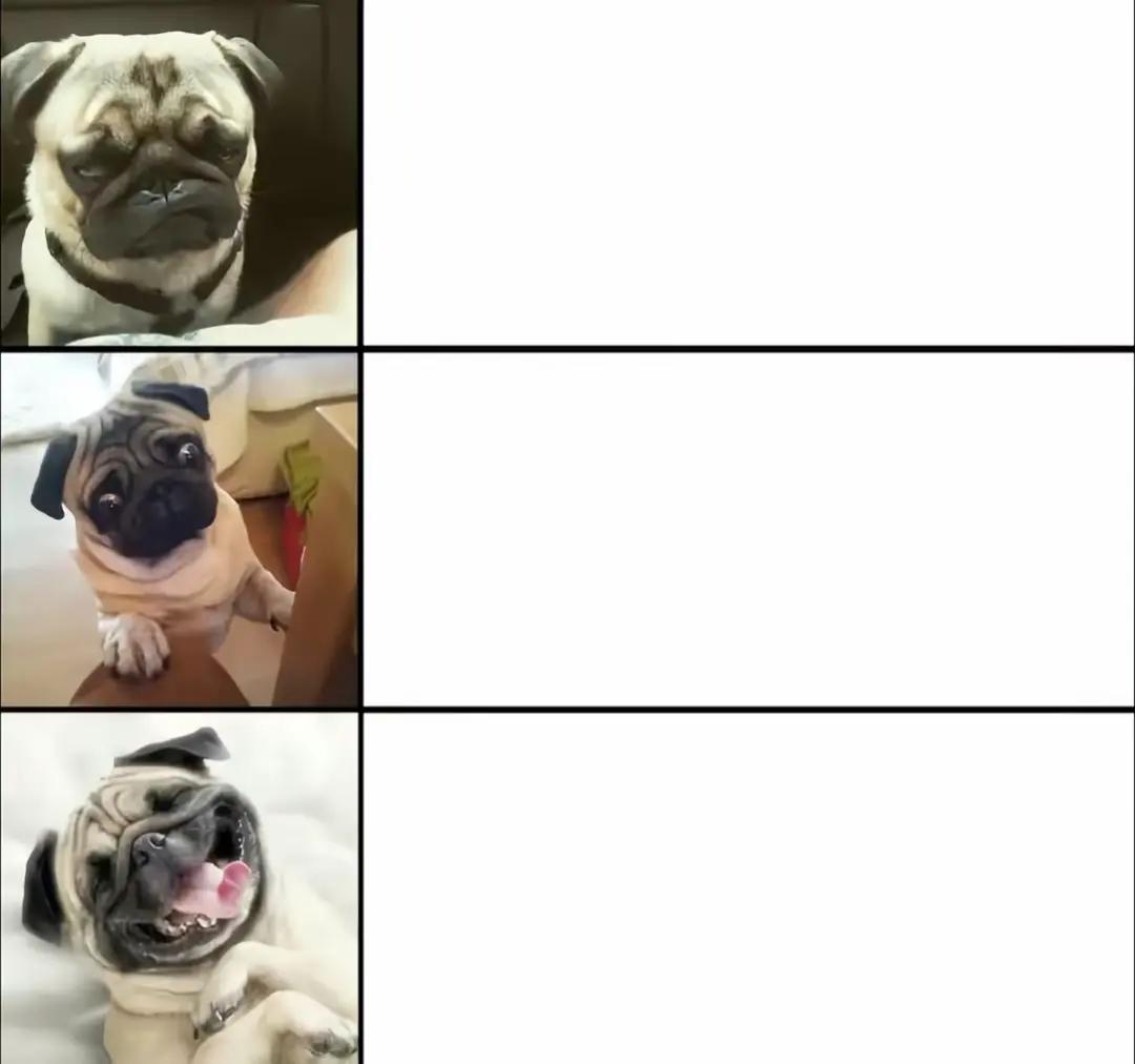 @halop