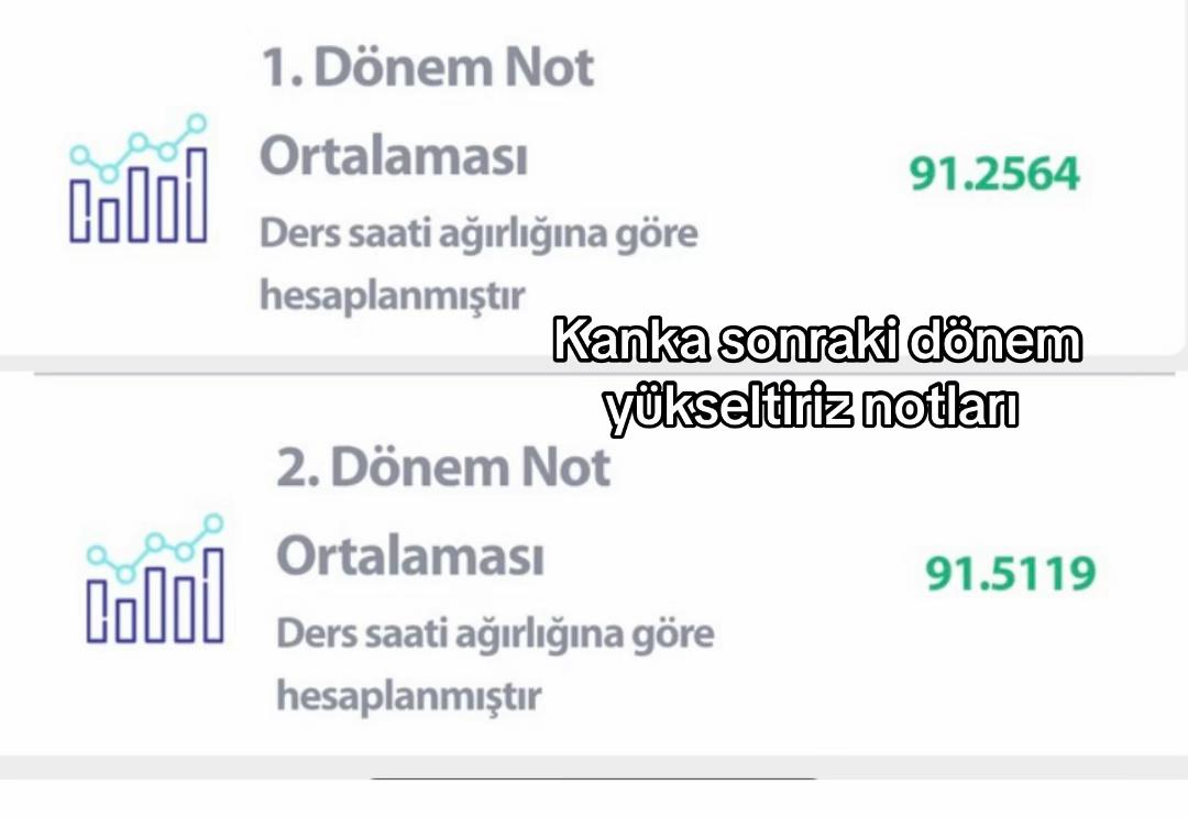 @meerve