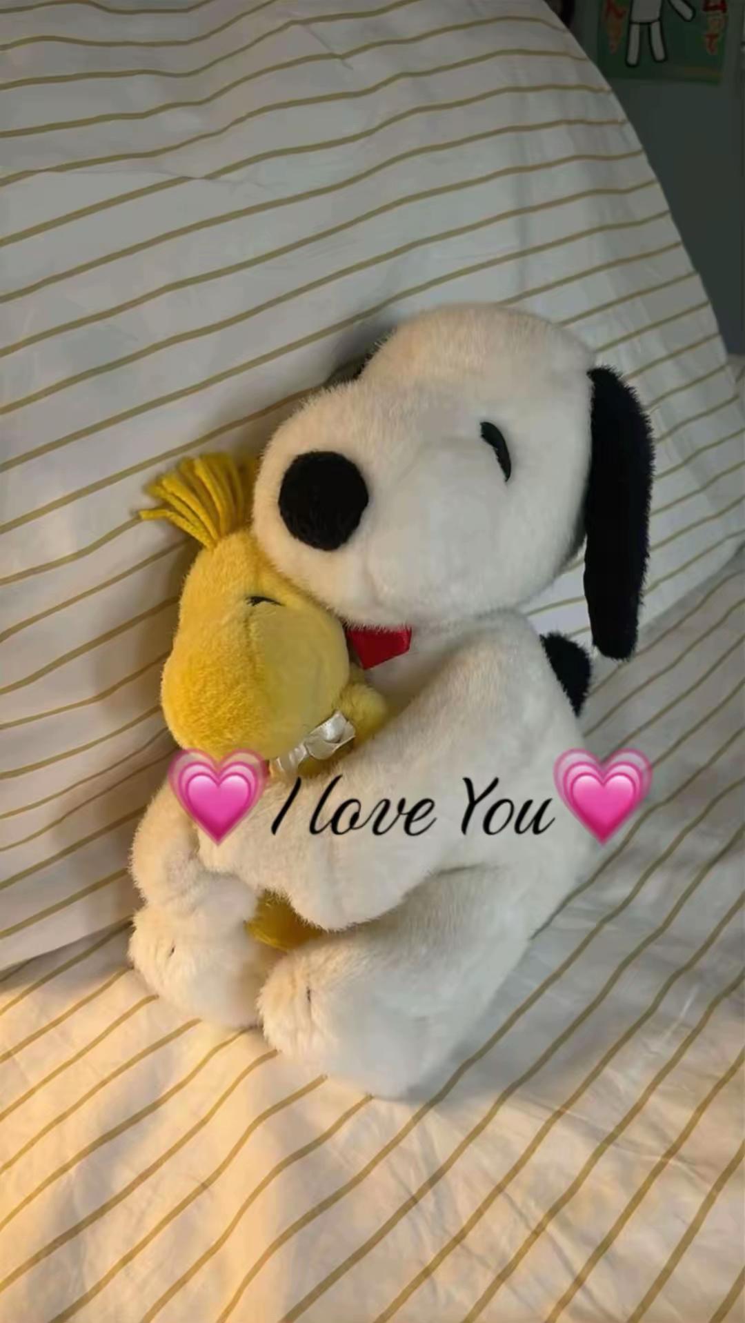 @୨୧ ┆ 𝒜ᑲᑲᥡ ♥︎ ( 𝓢ᥲᥒᥲ ) ɞ