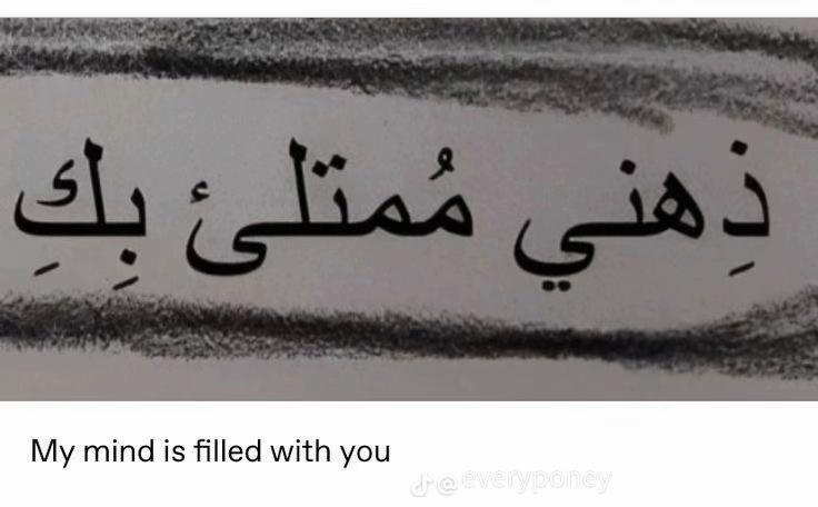 @megapussy