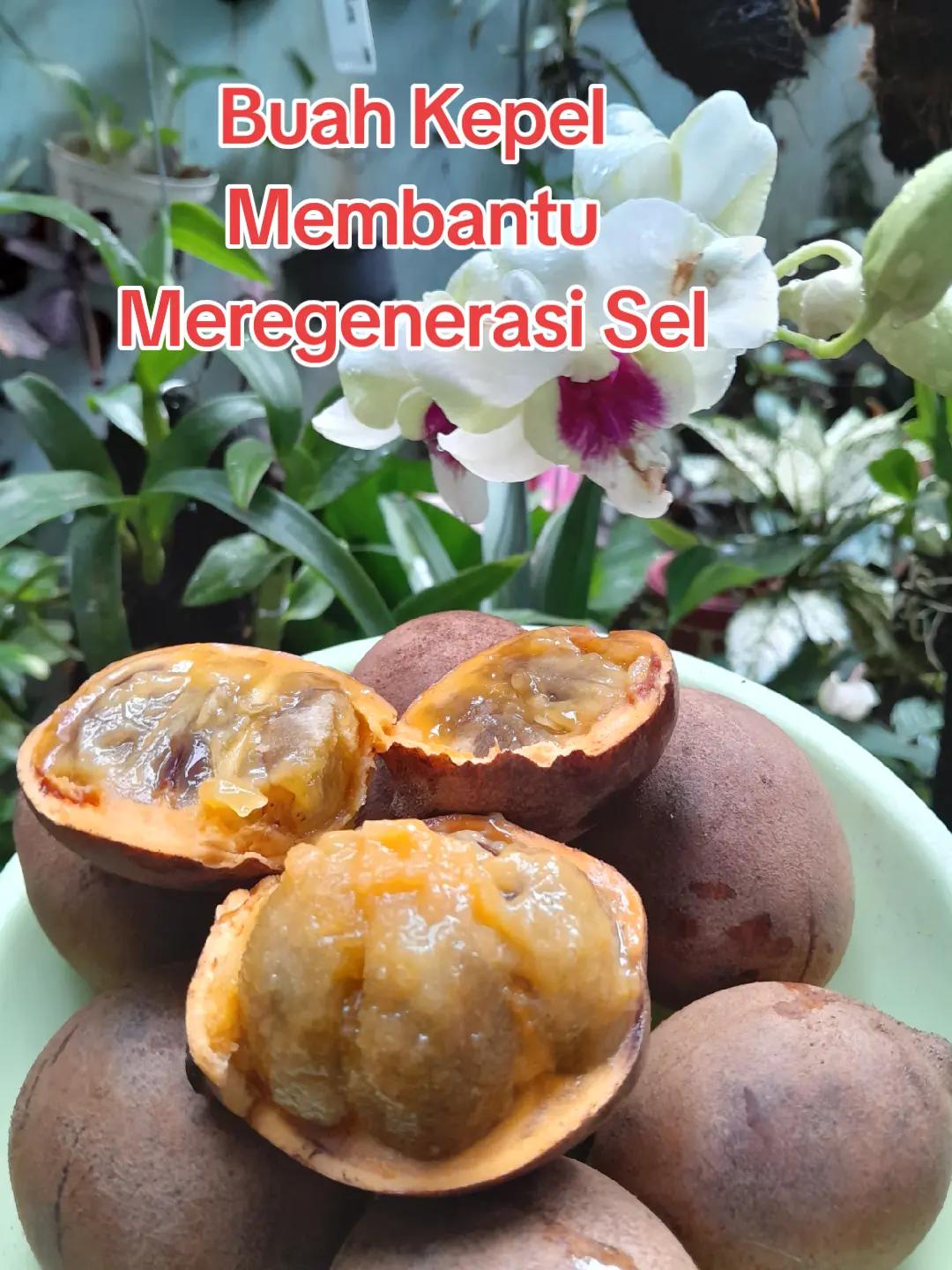 @Ambar healthy herbapedia