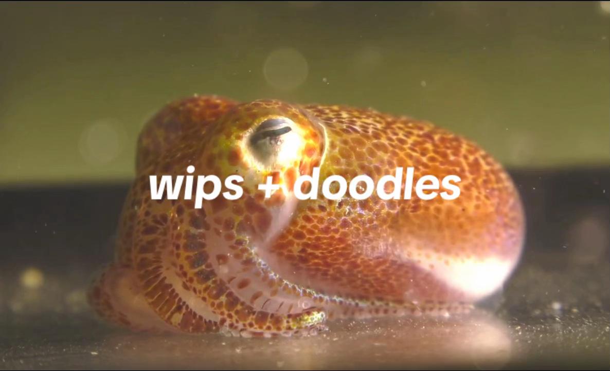 @pickleous cage