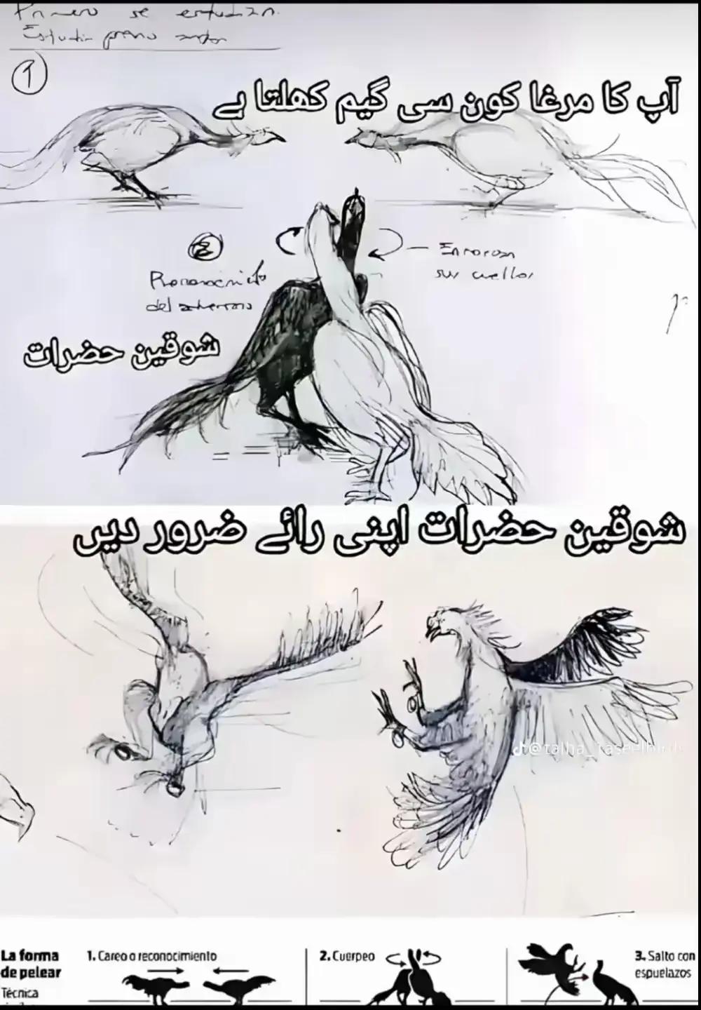 @💫جاوید 💫مغل 💫وہاڑی ⭐