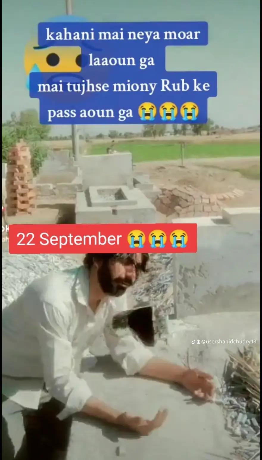 @Shahid Ch arain ❤🌹