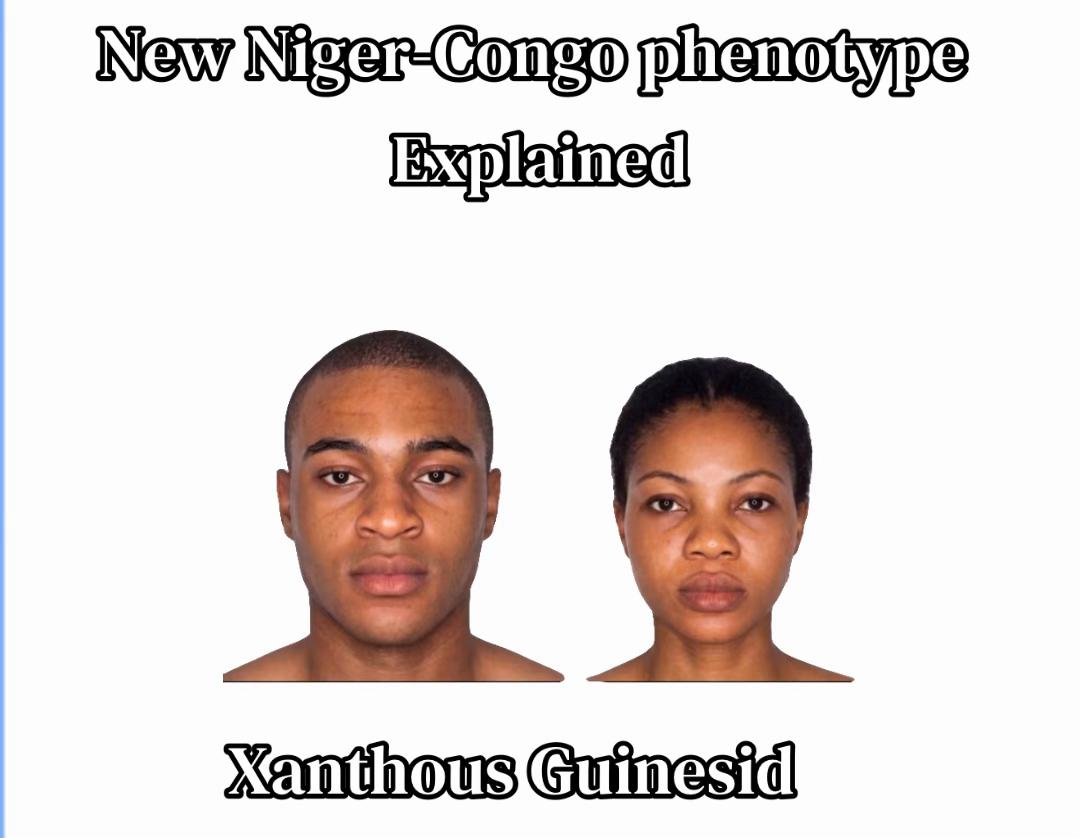 @nigercongolid