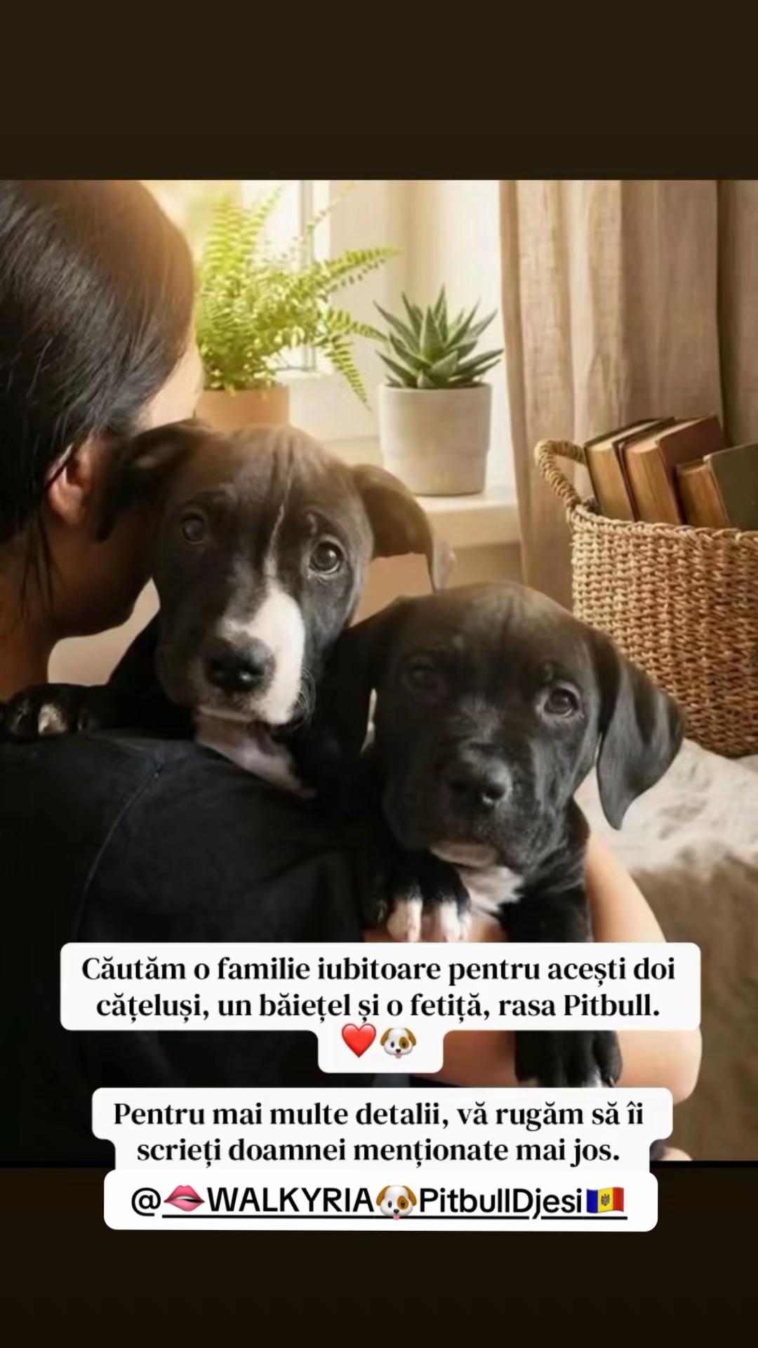 @Larisa🐾Taison
