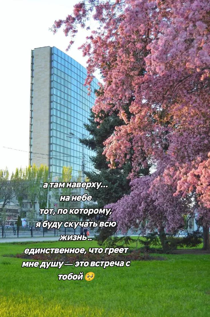 @Кэт 🍬