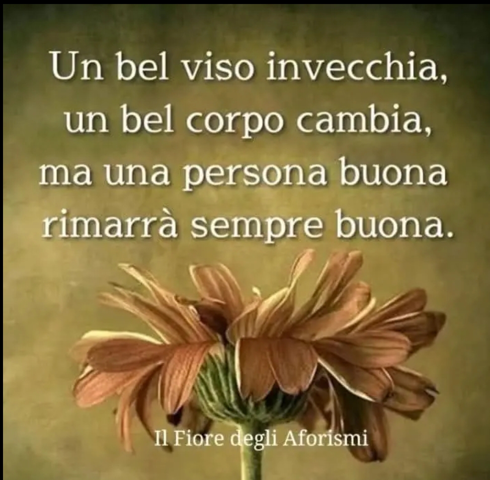 @Daniela Aceti