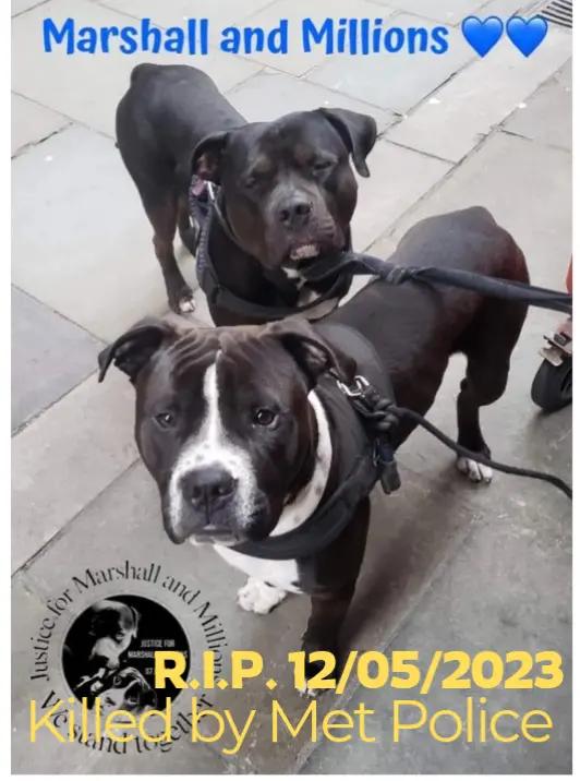 @SO