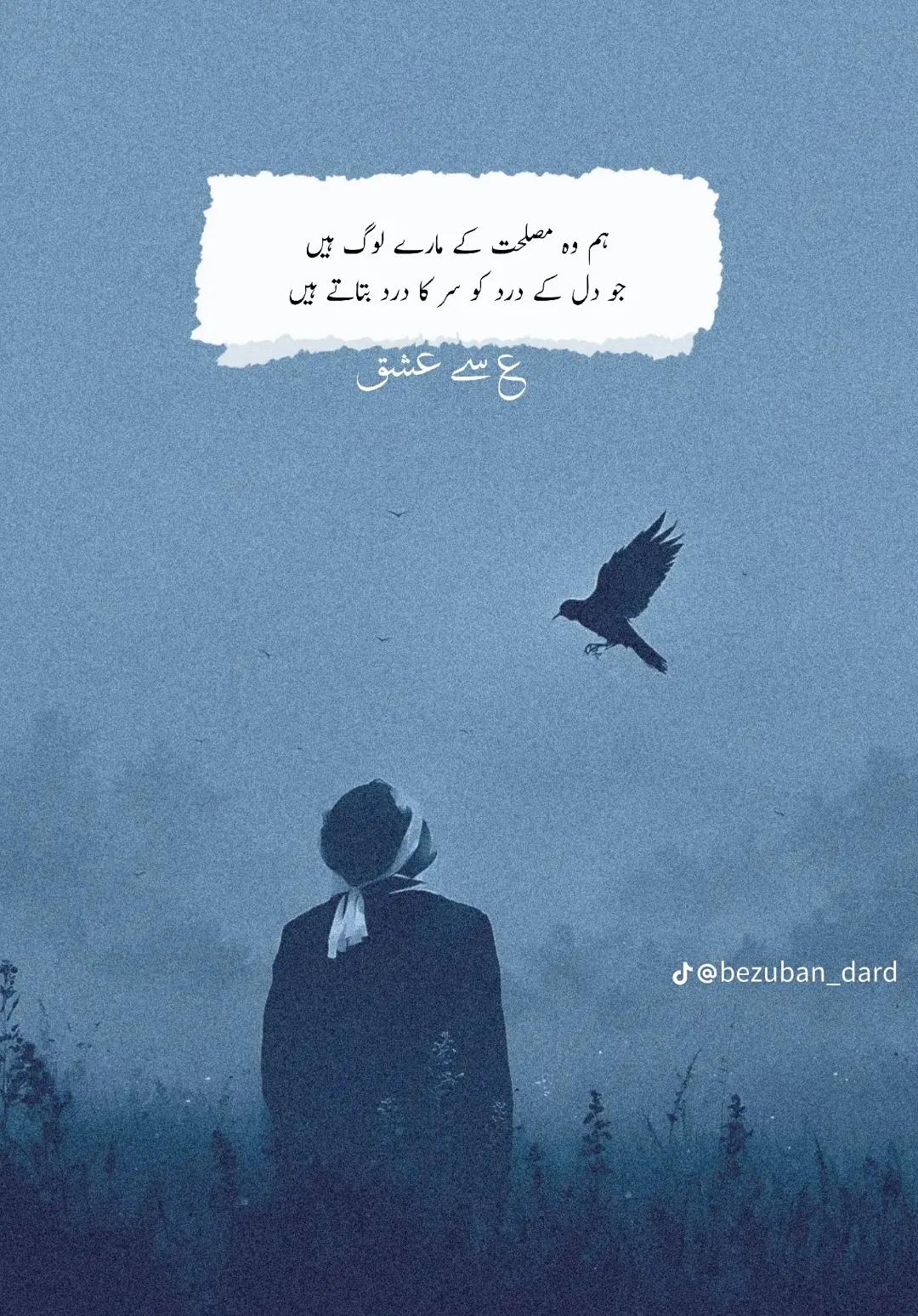 @🚩موسئ راجپوت😈