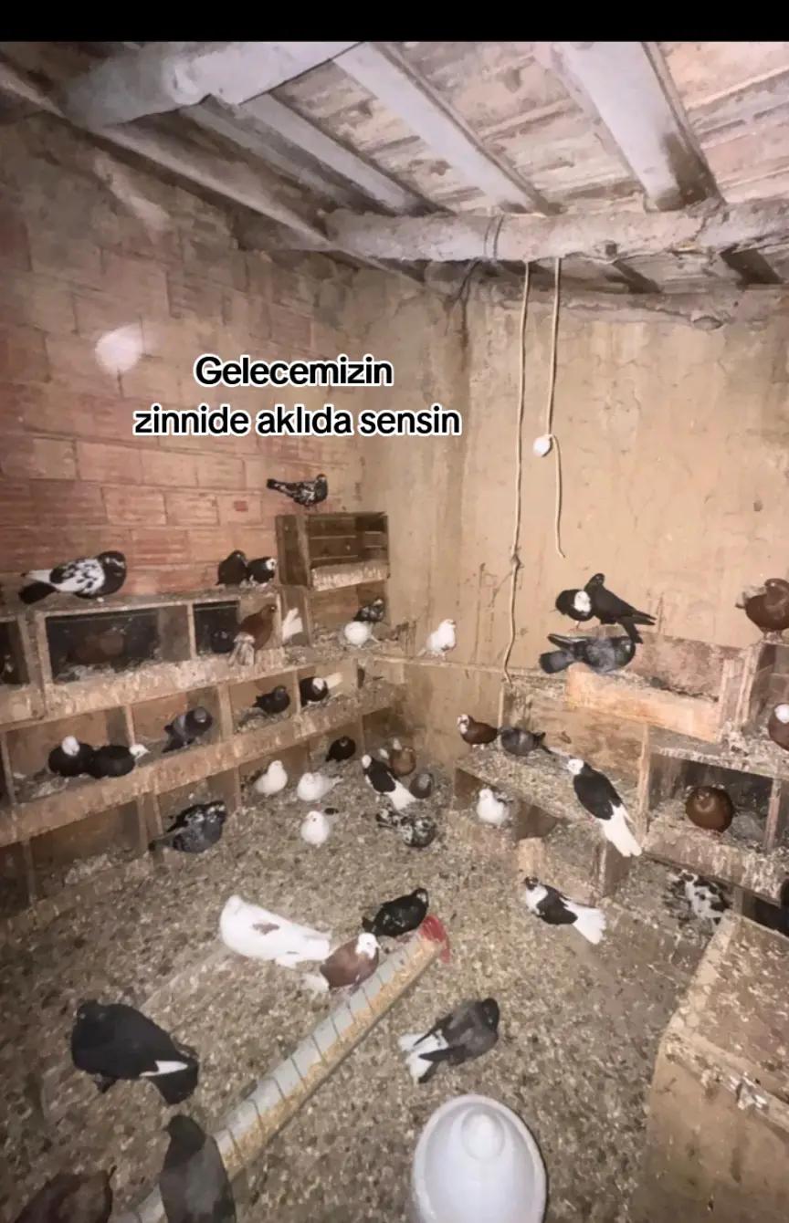 @🇹🇷͜͜͡͡✯