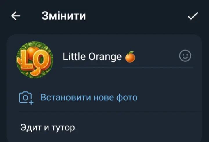 @Little Orange 🍊