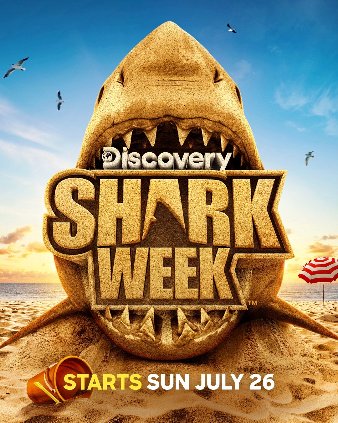 @Discovery