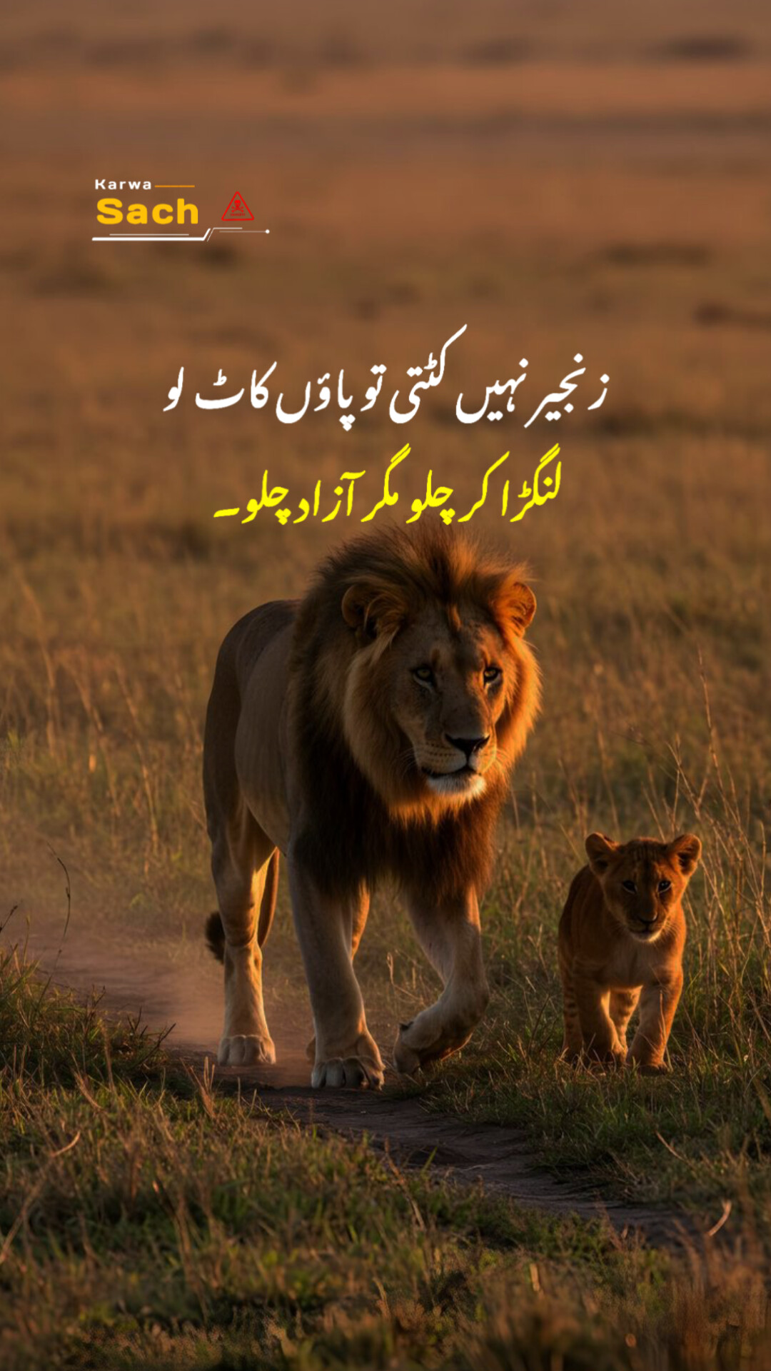@Karwa Sach🐎